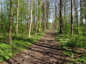 Park Bažantnice na okraji Lázně Bělohradu