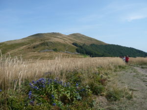 pohled na vrchol Smerek při sestupu