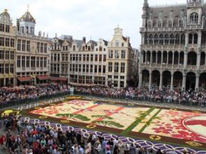350 květinový koberec na náměstí (4)