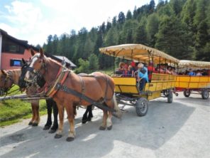 Koňský omnibusu do Pontresiny