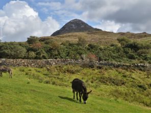 Národní park Connemara - Diamond Hill