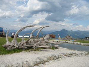 dřevěný drak na vrcholu Hartkaiser