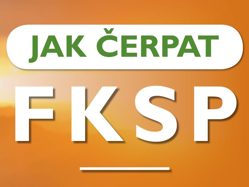 Co se dá platit z FKSP?