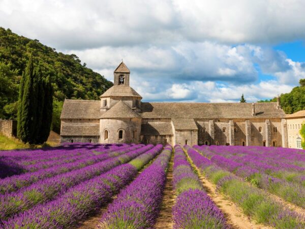 Klášter Senanque - poznávací zájezd Provence