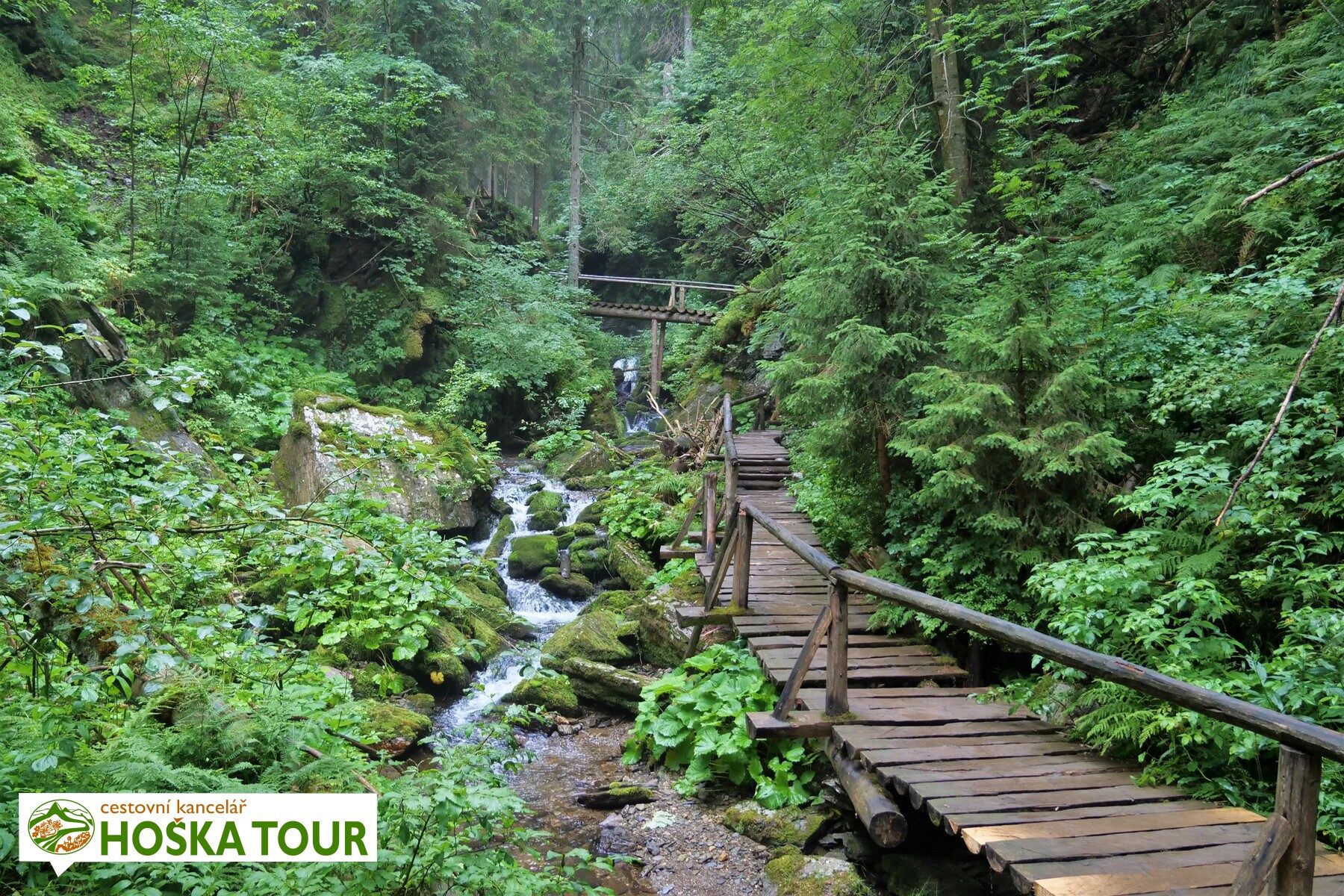 Pěší turistická trasa přes Vodopády Bílé Opavy pod Pradědem
