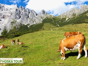 Silvretta - zájezd s pohodovou turistikou do Rakouska s kartou výhod