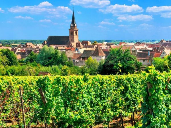 Poznávací zájezd - Alsasko Francie víno