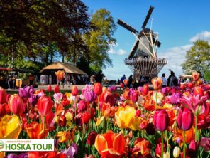 Za tulipány do Holandska - poznávací zájezd do Nizozemí