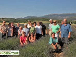 Zastávka u levandulového pole - poznávací zájezd do Provence